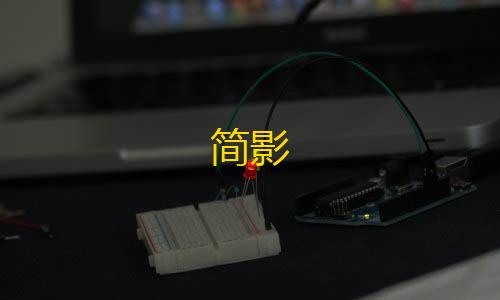 第五人格远方插件简影